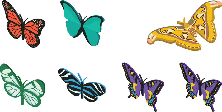 Realistic Colorful Butterfly Moth Species Set Seven Tropical Insect Vector Illustrations