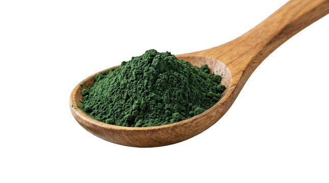 Healthy green spirulina algae powder in a wooden spoon with spirulina superfood supplement