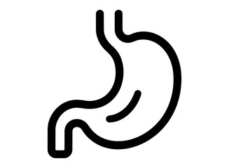 Fototapeta premium Human Stomach