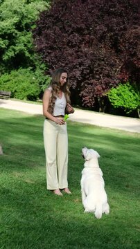 Happy young woman playing with her labrador retriever on green grass during a sunny day