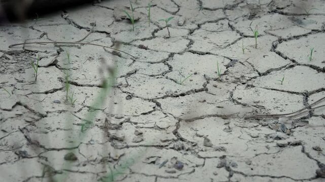 Desertification and parched soil during severe global warming conditions