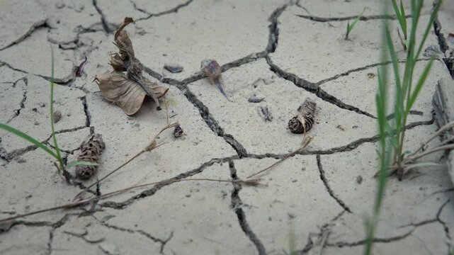 Environmental Damage and Dry Earth Texture