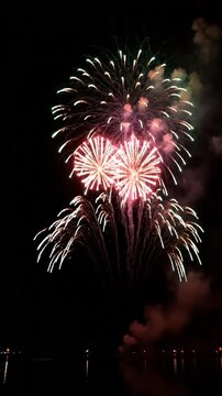 Single red firework burst against black night sky.