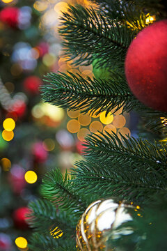 Branch of Christmas tree is decorated with red and gold balls. Background for Christmas card. Red ball on Christmas tree. New Year's bokeh