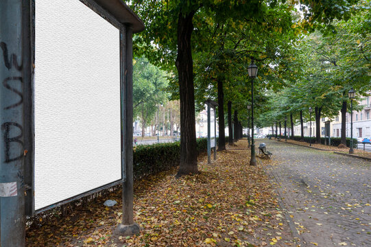 Cartellone bianco lungo un viale alberato, tra foglie e contesto urbano. Immagine che evoca attesa, comunicazione potenziale e contrasto tra natura e messaggi pubblicitari.