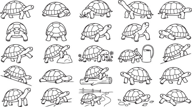 Tortoise Line Art Pose Set Land Reptile Outline Vector Collection