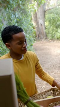 Vertical video: Inspecting produce in crate, boy in yellow top on path, adult arm entering helping