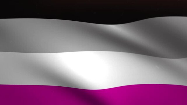Asexual Pride Flag Waving Seamless Loop Background Animation