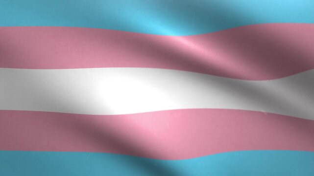Transgender Pride Flag Waving Seamless Loop Background Animation