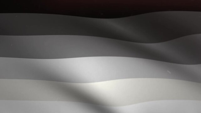Heterosexual Pride Flag Waving Seamless Loop Background Animation
