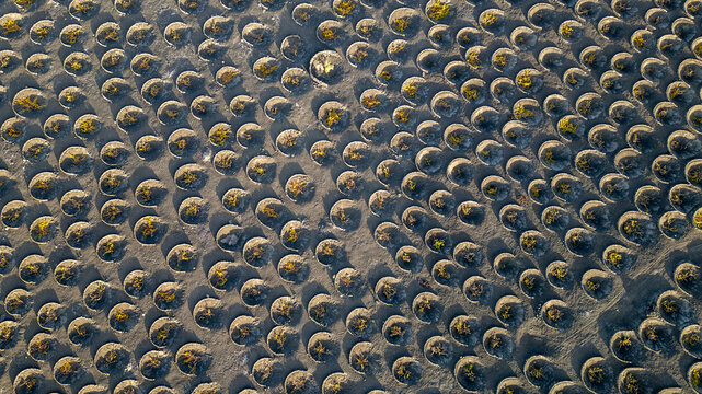 Aerial view of the unique volcanic vineyards in La Geria with circular stone walls protecting vines in dark ash soil in Lanzarote, Canarias, Spain.