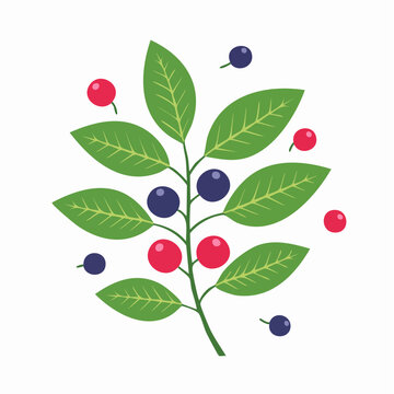 Flat design illustration of a berry branch with red and blue berries