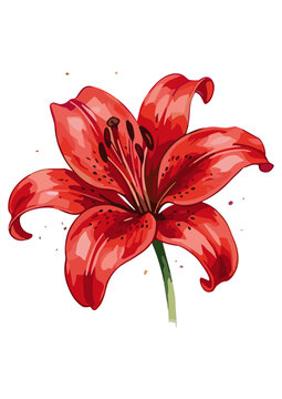 Vector WaterColor Lilly