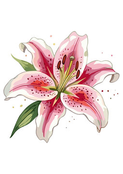 Vector WaterColor Lilly