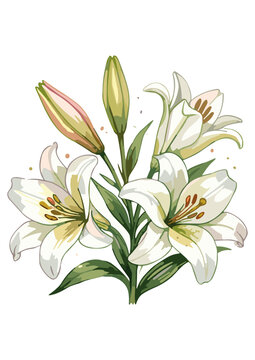 Vector WaterColor Lilly