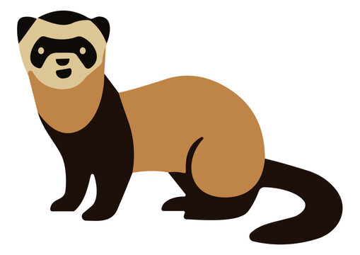 Vector Cartoon Ferret 