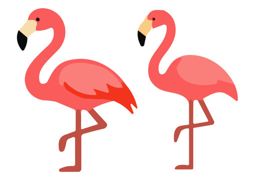 Vector Cartoon Flamingo