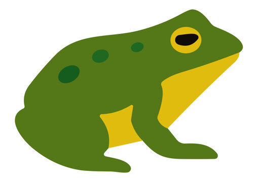 Vector Cartoon Frog