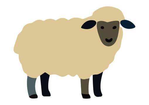 Vector Cartoon Sheep