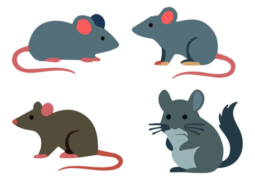 Vector Cartoon Rat Mouse