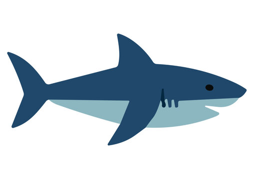 Vector Cartoon Shark