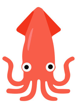 Vector Cartoon Squid