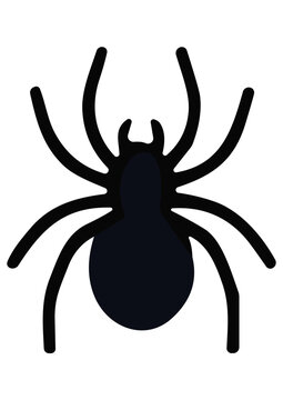 Vector Cartoon Spider