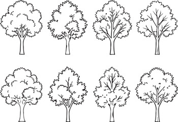 Hand-Drawn Tree Sketch Set Outline Tree Icons for Nature and seasonal design elements. © AHAMMED