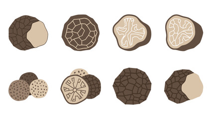 Fototapeta premium Collection of stylized black truffles, whole and sliced, on a white background