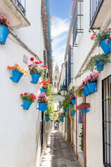 Fototapeta premium historic buildings in the city center of Cordoba in Spain