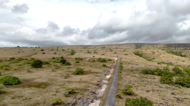 The dry season has set in, and the grass is beginning to dry up and yellow, yet it has been pouring all day, with heavy clouds looming over the Sumba savanna sky
