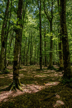 Campitello di Sepino. Mountain landscape of Molise.