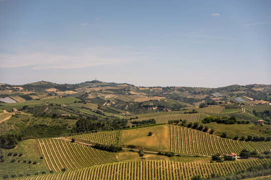 Marche, Italy. Spectacular spring landscape of the Marche hills.
