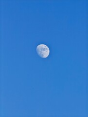 The beautiful waxing gibbous moon shines brightly in the clear, azure blue daytime sky, revealing intricate surface details, including craters and vast maria, creating a stunning natural astronomical © Oleksandr