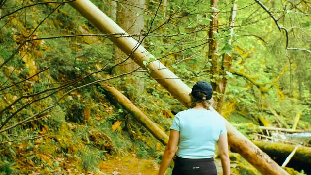 Woman walking on forest trail along mountain river and stepping over fallen logs
