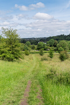 path in the field