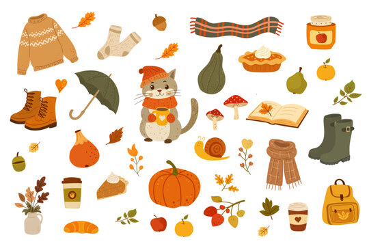 Charming autumn collection featuring cozy seasonal items cat and harvest elements isolated on transparent background