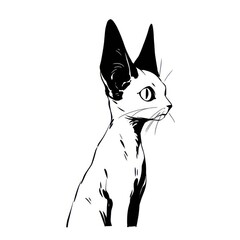 Fototapeta premium Cornish Rex Cat cat illustrated kangaroo.