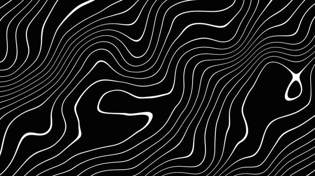 Abstract Wavy White Lines Motion Graphic Background. Fluid Stripes Animation