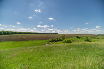 Obraz premium Sunny rural meadow with rolling fields and distant horizon