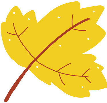 Colorful yellow autumn maple leaf illustration