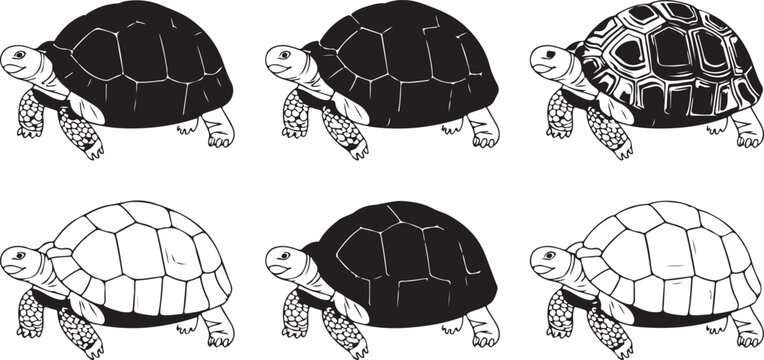 Six black and white tortoises walking illustration