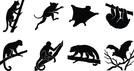 Obraz premium Arboreal Mammal Silhouette Collection Featuring Primates, Sloth, Gliding Mammal and Bat