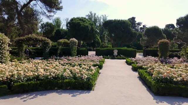 Floral explosion in the Retiro Park in Madrid in the flat spring of a sunny day.