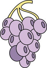 Fototapeta premium Cartoon drawing showing a simple cluster of purple grapes