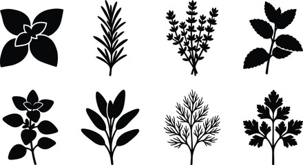 Obraz premium Herb and Botanical Plant Silhouette Collection for Natural Design Projects
