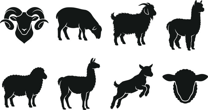 Farm animal black silhouette vector icons featuring sheep, goat, ram, alpaca, and llama for agriculture design
