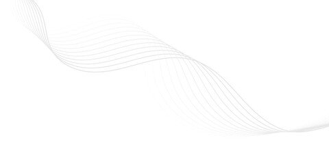 Fototapeta premium Minimal Abstract Wave Lines Background With Flowing Gray Curves and Smooth Sine Rhythm.