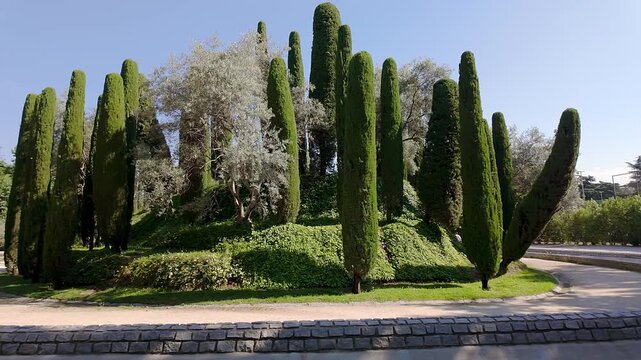 Forest of Remembrance with pruned cypresses rising to the sky in Madrid's Retiro Park.