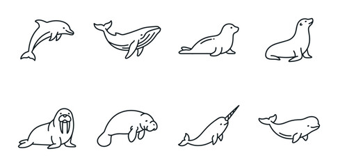 8 Marine Mammals linear icon set dolphin whale seal walrus manatee narwhal beluga, UI and web interface design © Bundleprohub